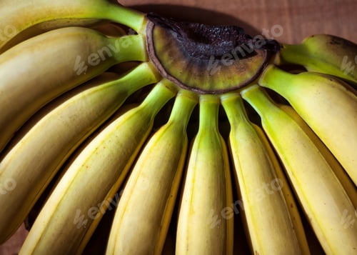Preview: A bunch of yellow bananas on a wooden background