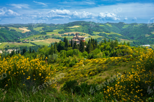 Preview: Rural landscape on the hills near Riolo Terme and Brisighella