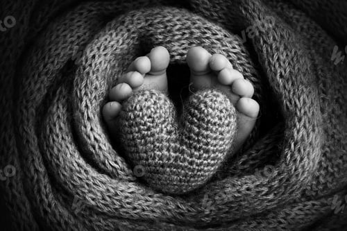 Preview: Feet of a newborn close-up in a woolen blanket.
