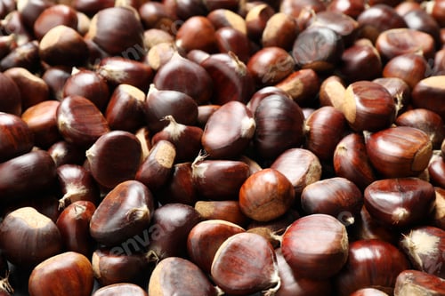 Preview: Fresh edible sweet chestnuts as background, closeup