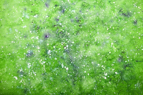 Preview: The Blurry Watercolor On A White Sheet Background Image