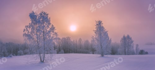 Preview: Winter landscape with fog. Warm cold sunrise landscape