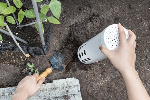 Preview: Person installing worm tower into soil in garden for organic composing