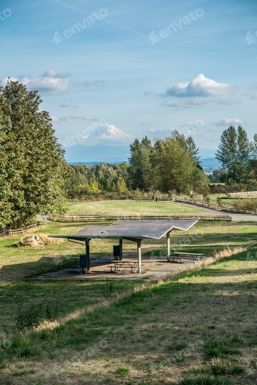 Preview: A View Of Mount Rainier From Grandview Off-Leash Dog Park In Seatac, Washington.