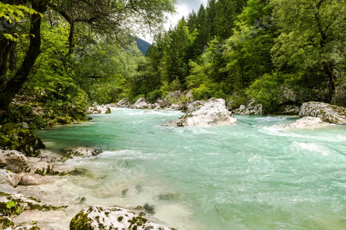 Preview: Emerald green clean water of Soca river in Slovenia