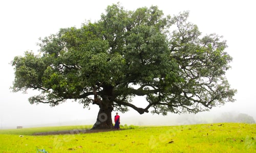 Preview: Happy Indian woman in fog and enjoying nature.
