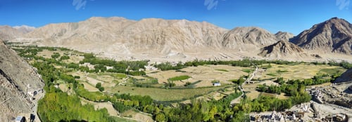 Preview: View of the valley and terraced fields from Chemrey Monastery, Leh, Ladakh, India