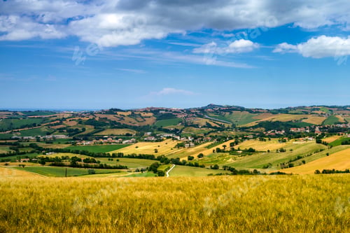 Preview: Rural landscape near Santa Maria Nuova and Osimo, Marche, Italy