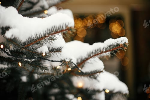 Preview: Stylish christmas trees with gold festive lights, covered with snow