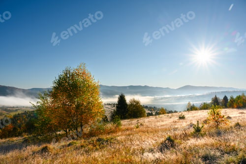 Preview: Picturesque autumn mountains with yellow birches and foggy hills