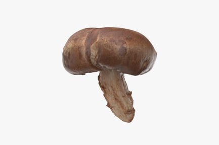 Preview: Whole Shiitake Mushroom