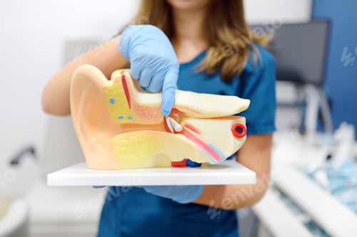 Preview: The otolaryngologist explains to the patient about his illness at the appointment.