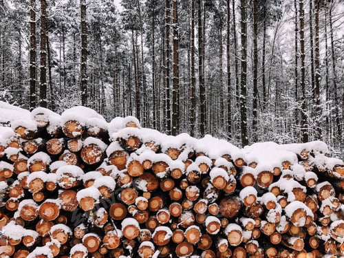Preview: Wooden