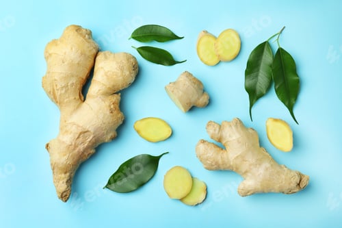 Preview: Fresh ginger with green leaves on pale light blue background, flat lay