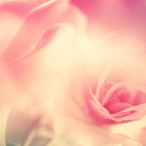 Preview: Vivid Color Rose Petals In Soft Color On Mulberry Paper Texture For Background