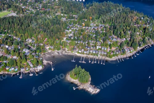 Preview: Aerial view on the luxury homes in a neighborhood by the ocean