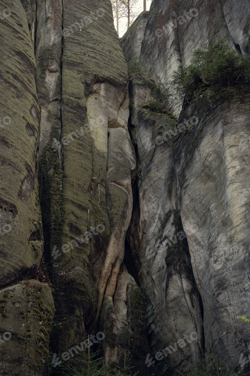Preview: Towering Rock Formation in Lush Green Forest - Natural Wonder