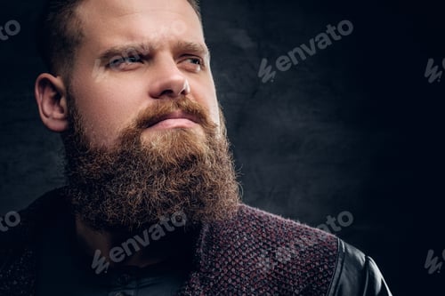 Preview: Close up portrait of brutal bearded male.