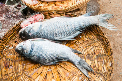 Preview: Fresh fish and seafood. Healthy eating.