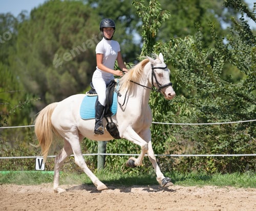 Preview: riding girl and horse