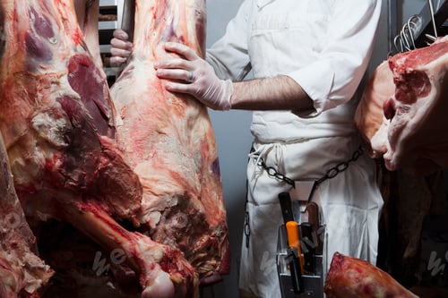 Preview: Butcher hanging beef