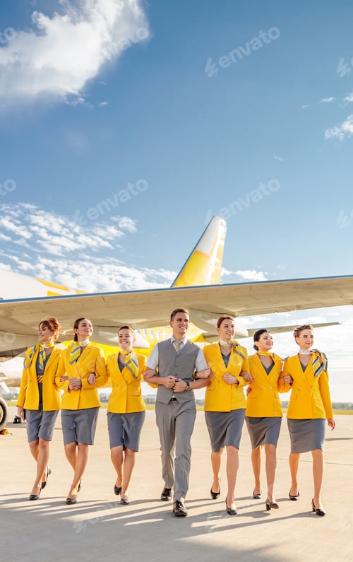 Preview: Cheerful airline workers walking down airfield under blue sky