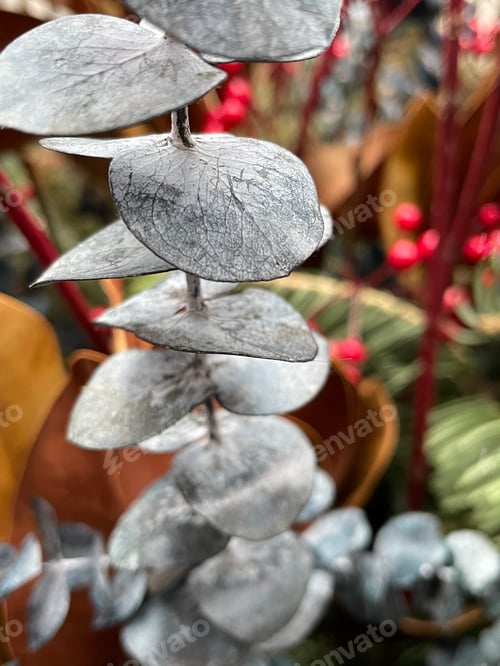 Preview: Christmas decorations