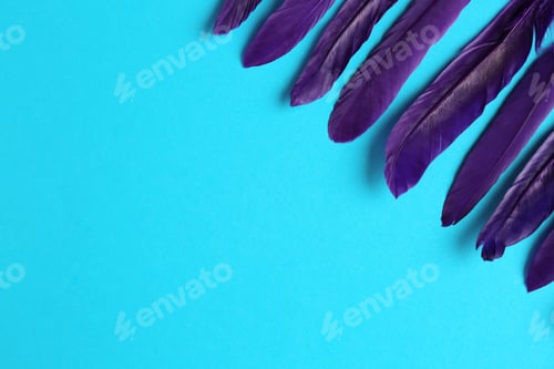 Preview: Purple feathers on light blue background, flat lay. Space for text