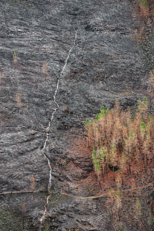 Preview: Landscapes devastated by forest fires in Courel Lugo Galicia