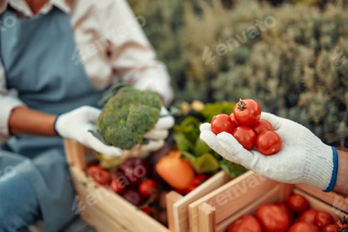 Preview: Mature couple working on the farm
