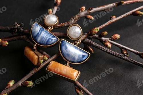 Preview: Branches with beautiful earrings on black background. Luxury jewelry