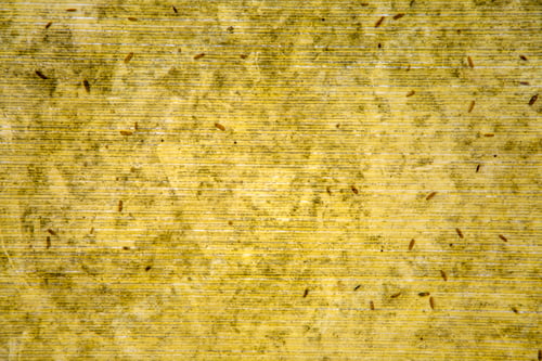 Preview: Stone texture