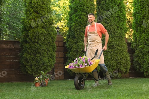 Preview: Happy man with wheelbarrow working in garden