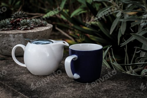 Preview: Teapot and mug on a seat in backyard with succulent plants in background