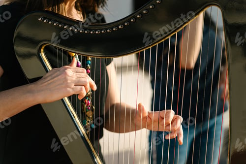 Preview: Harpist and vocalist doing a musical show on the roof