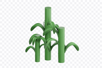 Preview: Sugar Cane Plant