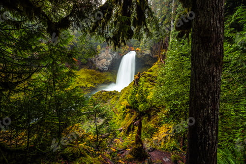 Preview: Sahalie Falls On The Mckenzie River In Oregon