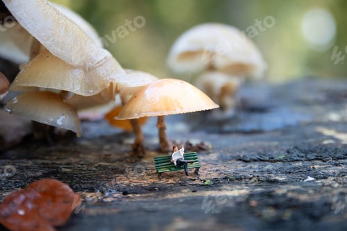 Preview: a man miniature from little world Relaxing on Bench Under Giant Mushrooms