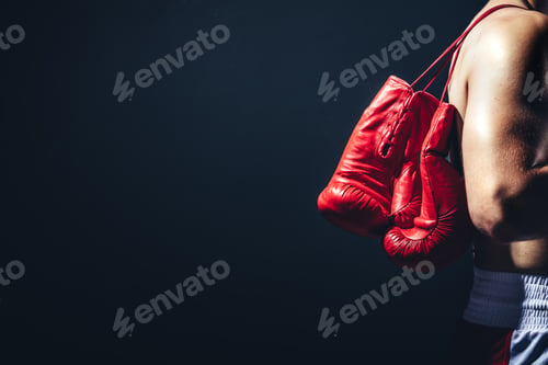 Preview: Pair of red gloves on the fighter's back.
