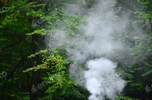 Preview: White smoke spreads over the background of forest trees