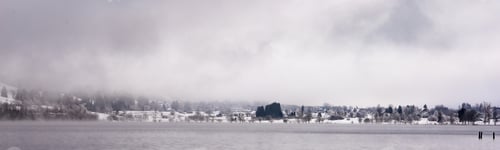 Preview: Banner shore of Lake Bohinj on a winter gray day Slovenia