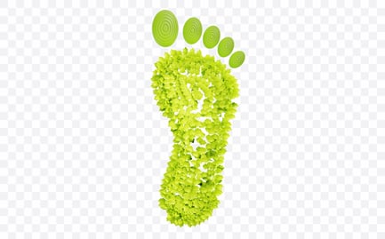 Preview: Leaf Footprint Trail