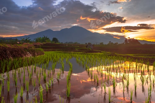 Preview: Beautiful morning view indonesia Panorama Landscape with beauty color