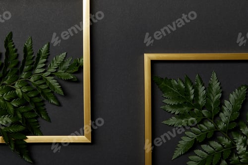Preview: top view of golden frames on black background with green fern leaves
