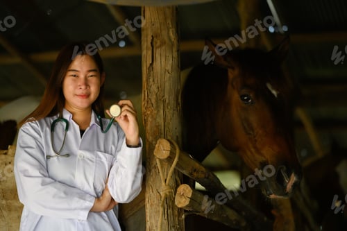 Preview: Young veterinarian in white coat with stethoscope standing near horses in the stable