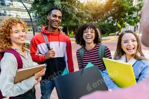 Preview: Happy young college students talking together on campus