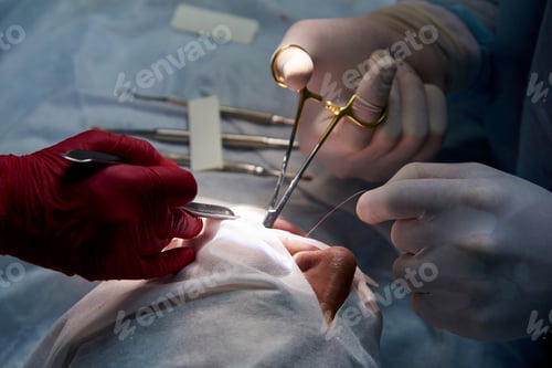 Preview: Surgery in a dental clinic