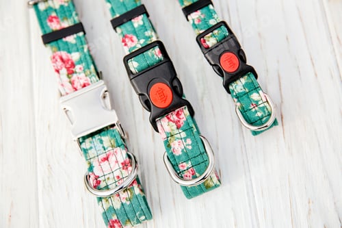 Preview: Dog Collar and Leash set. Pet Supplies and Walking Gear Collection