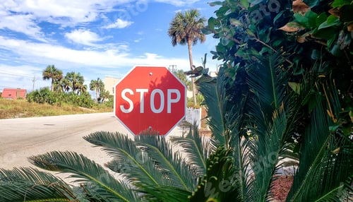 Preview: Stop sigh surrounded by sago palms halts tourists at beach resort on vacation while traveling home.