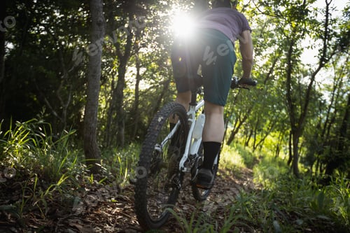 Preview: Mountain biking in summer forest